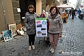 VBS_8148 - Mercatino dell'Antiquariato e dell'Hobbismo